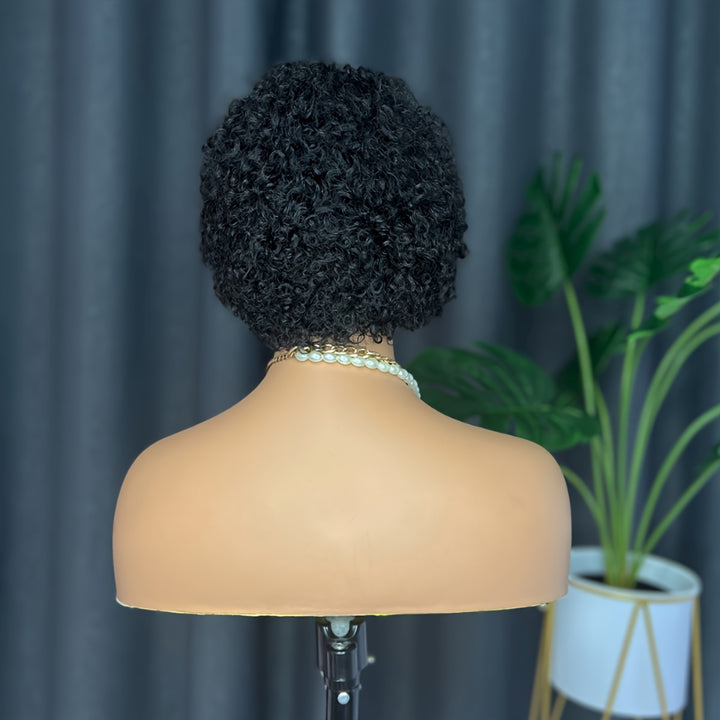 [Popular Choice] Chic Short Pixie Cut Wig - 100% Brazilian Virgin Human Hair, Afro Kinky Curly Style, 150% Density, Rose Net Cap for Women, Short Curly Wig, Rose Net Cap