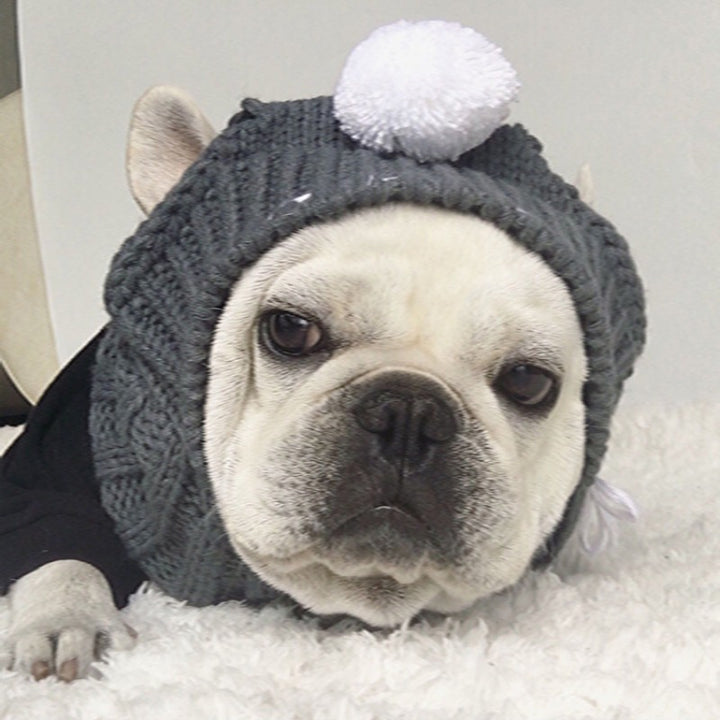 Christmas Pet Hats Winter Dog Cap Puppy Hat With Ball Headwear For Small Dogs Accessories for stocking stuffers