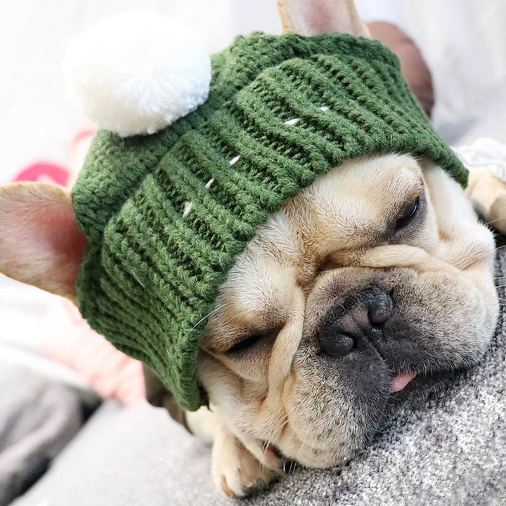 Christmas Pet Hats Winter Dog Cap Puppy Hat With Ball Headwear For Small Dogs Accessories for stocking stuffers