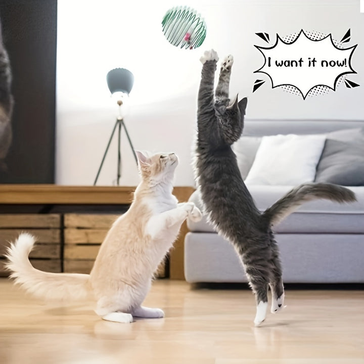 Pounce, Chase, Play!
This 3-piece colorful toy set keeps your cat active and happy with bouncy rolling fun and playful mouse toys. Perfect for interactive solo or bonding playtime. 🐾🎉🐱