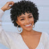 Afro Curly Faux Locs Wig, Glueless Synthetic Short Dreadlock Hairpiece, 150% Density, Rose Cap, for Women and Men, All Ethnicities, High-Temperature Fiber, Basic Style
