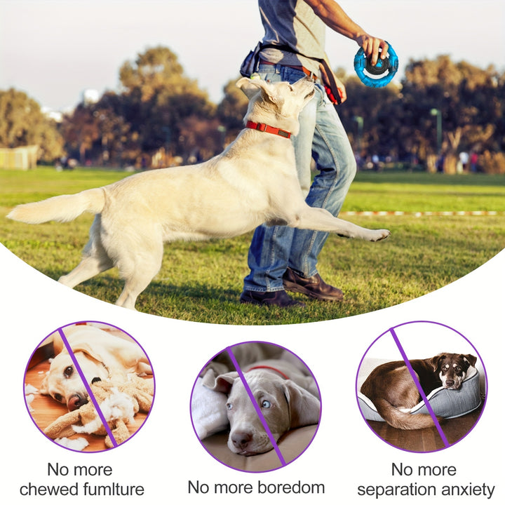 Chew, Squeak & Stay Healthy!
This durable squeaky chew toy is perfect for puppies and dogs of all sizes. Made with tough nylon to withstand biting, it also helps clean teeth and reduce boredom. Great for interactive play and dental health! 🐶🦴🧼
