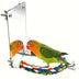 1pc Bird Mirror Bird Toys, With Cotton Rope, Bird Supplies, Parrot Chewing Toys, Bird Stands