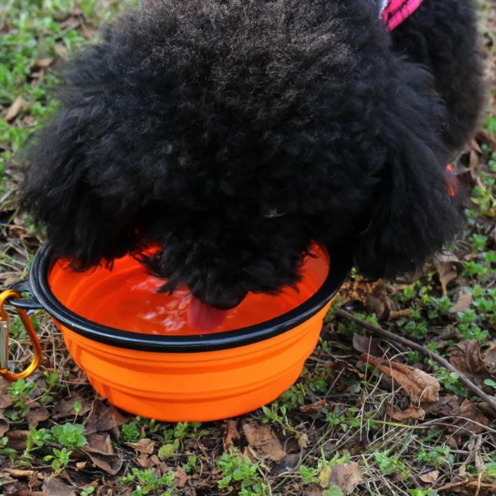 Collapsible Pet Silicone Dog Food Water Bowl Outdoor Camping Travel Portable Folding Pet Supplies Pet Bowl Dishes with Carabiner