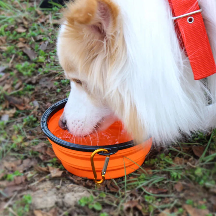 Collapsible Pet Silicone Dog Food Water Bowl Outdoor Camping Travel Portable Folding Pet Supplies Pet Bowl Dishes with Carabiner