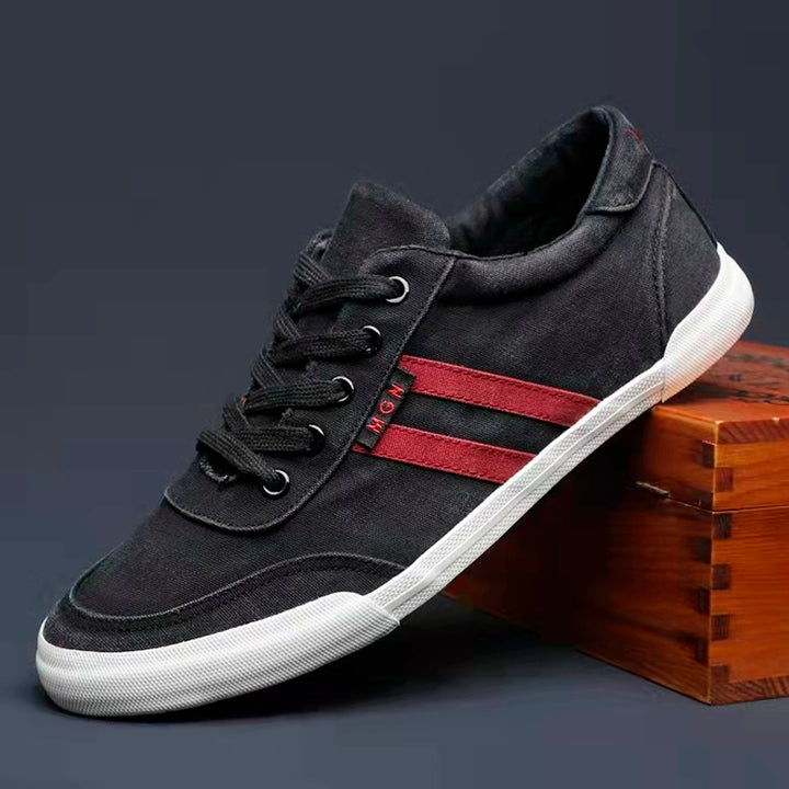 Men's Shoes Spring & Fall Breathable Deodorizing Filter Canvas Shoes Men's Trendy Lace up Men Casual Shoes Soft Bottom Driving Old Beijing Cloth Shoes