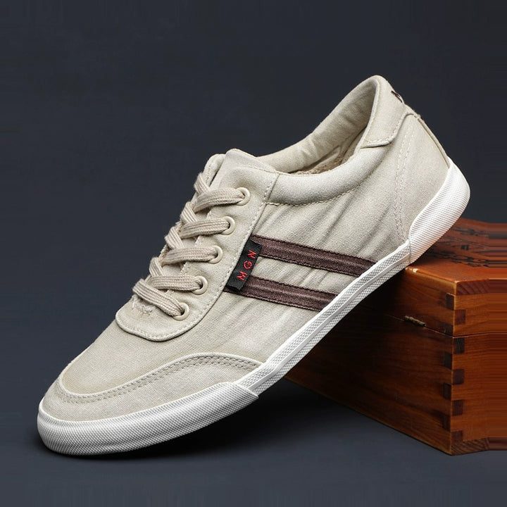 Men's Shoes Spring & Fall Breathable Deodorizing Filter Canvas Shoes Men's Trendy Lace up Men Casual Shoes Soft Bottom Driving Old Beijing Cloth Shoes