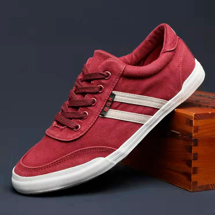 Men's Shoes Spring & Fall Breathable Deodorizing Filter Canvas Shoes Men's Trendy Lace up Men Casual Shoes Soft Bottom Driving Old Beijing Cloth Shoes