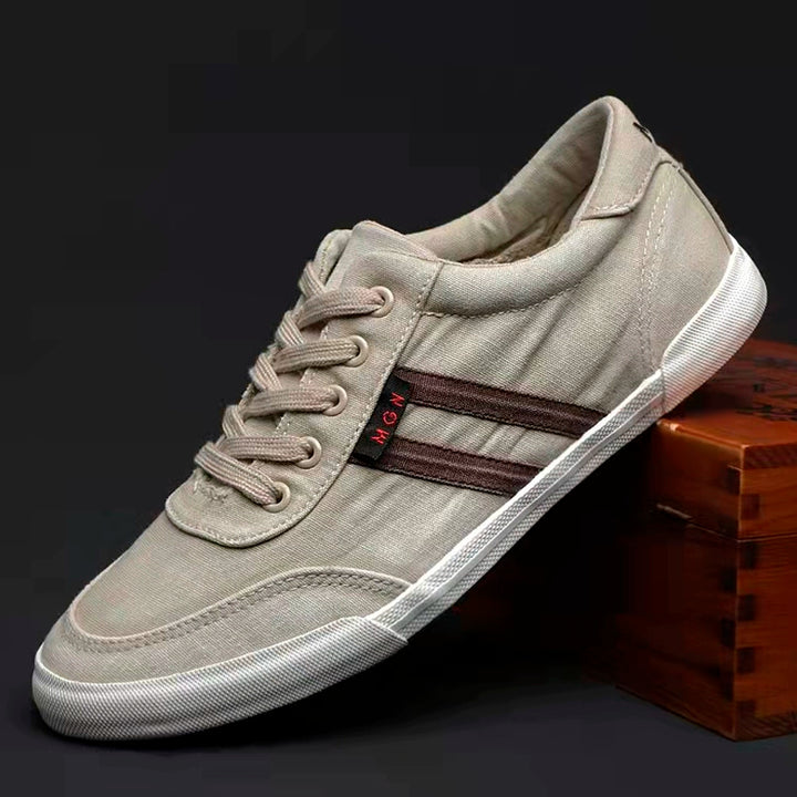 Men's Shoes Spring & Fall Breathable Deodorizing Filter Canvas Shoes Men's Trendy Lace up Men Casual Shoes Soft Bottom Driving Old Beijing Cloth Shoes