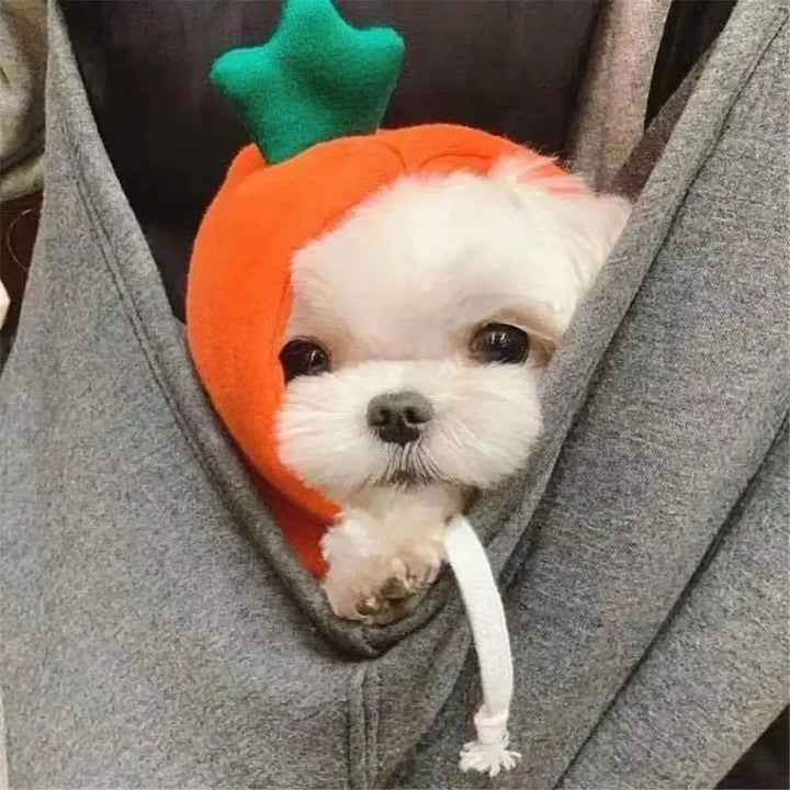 Cosplay Pet Clothes Dog Hoodies Clothing For Small Dog Coat Jacket Puppy Cat Costume Chihuahua Yorkie Clothes