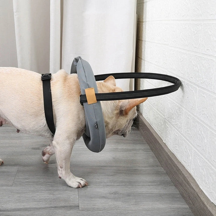 Pet Safety Harness for Dog and Cats Enhancing Protections for Sight Impaired Animal Rings Collar for Blind Dog Daily Walk