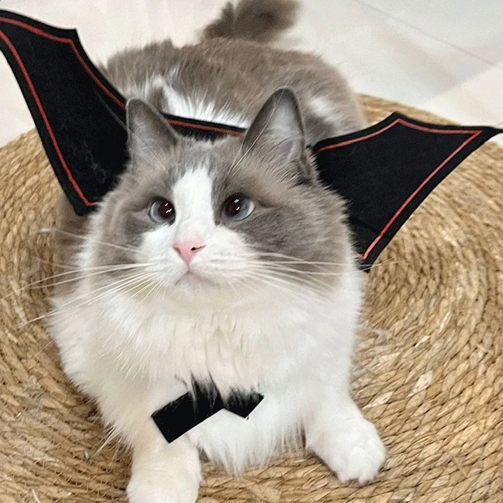 Halloween Cat Dress Up Costume Soft Adjustable Cats Bat Wing Cosplay Clothes Polyester Halloween Party Supplies Pet Supplies