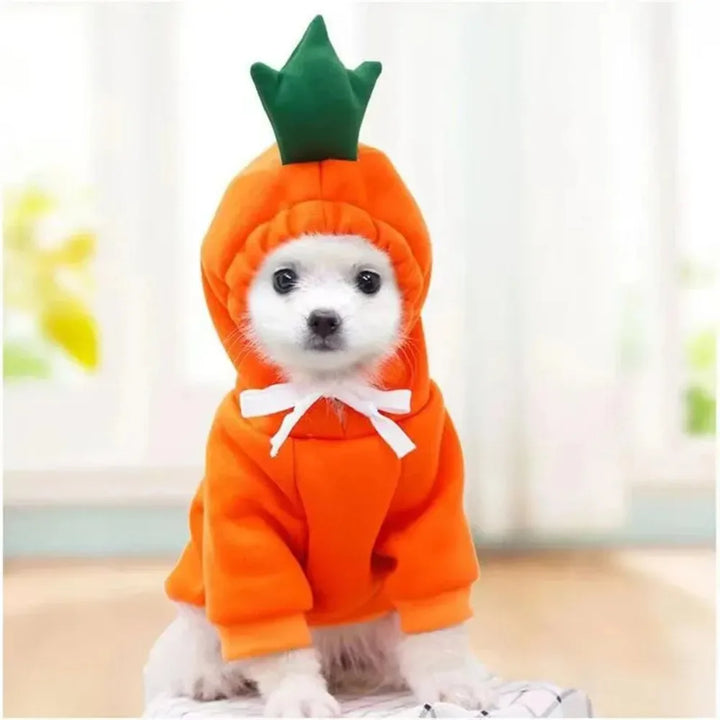 Cosplay Pet Clothes Dog Hoodies Clothing For Small Dog Coat Jacket Puppy Cat Costume Chihuahua Yorkie Clothes