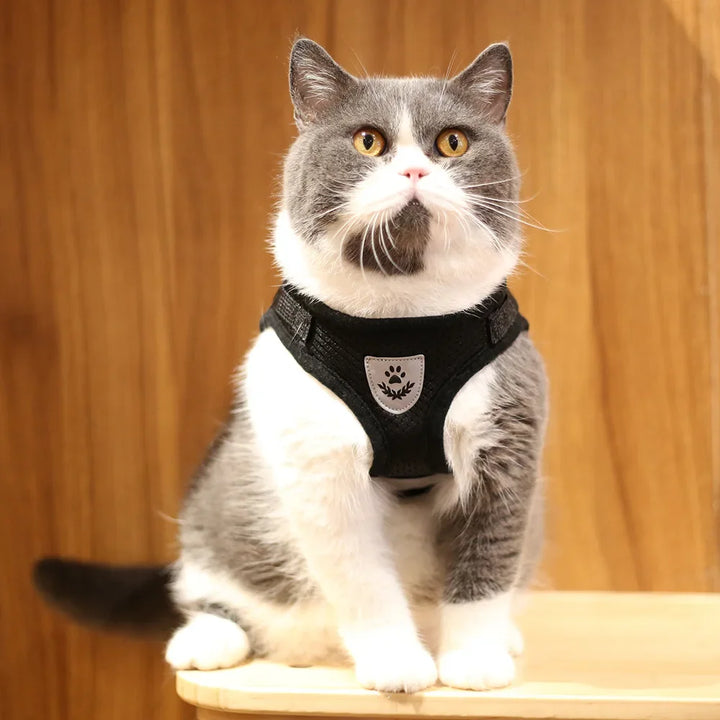 Dog Harness Lead Leash Set Adjustable Reflective Escape Proof Pet Mesh Vest Harness Puppy Dog Collar Small Dog Cat Pet Supplies