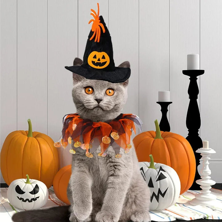 Halloween Pet Costume Set with Adjustable Elastic Hat Collar for Dogs and Cats - Pumpkin Style