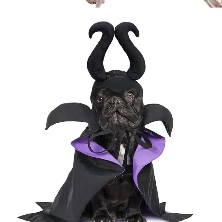 Halloween Witch-Shaped Costume cat Purple Vampire Cape Puppy Wizard Devil Horns Hat Pet Holiday Outfit for Small Middle-Sized Do