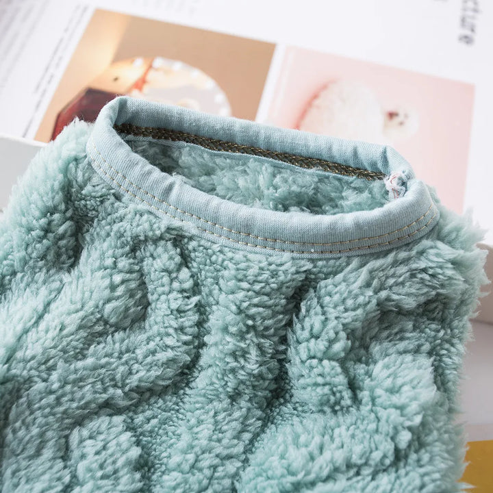 Soft Cozy Cat Clothes Autumn Winter Warm Fleece Sweatshirt for Small Dogs Puppy Kitten Jacket Coat Pet Sphynx Costume Sweater