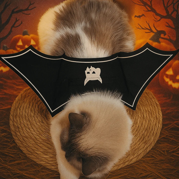 Halloween Cat Dress Up Costume Soft Adjustable Cats Bat Wing Cosplay Clothes Polyester Halloween Party Supplies Pet Supplies