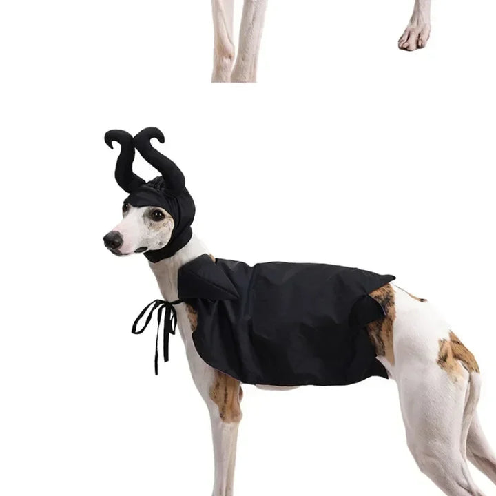 Halloween Witch-Shaped Costume cat Purple Vampire Cape Puppy Wizard Devil Horns Hat Pet Holiday Outfit for Small Middle-Sized Do