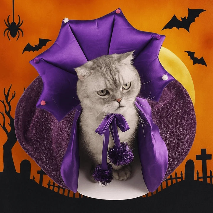 Cute Star Pet Witch Cloak Cloth Purple Halloween Pet Cloak Witch Hat Soft Dog Witch Costume Cat