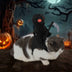 Halloween Pet Transformation Costumes For Dogs & Cats,Holiday Weird Vests Dark Scythe Knight Harvest Transformation Costumes