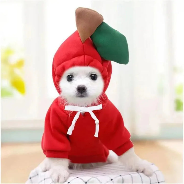 Cosplay Pet Clothes Dog Hoodies Clothing For Small Dog Coat Jacket Puppy Cat Costume Chihuahua Yorkie Clothes
