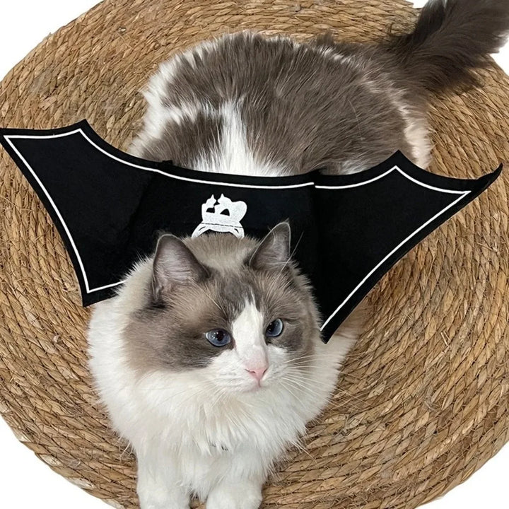 Halloween Cat Dress Up Costume Soft Adjustable Cats Bat Wing Cosplay Clothes Polyester Halloween Party Supplies Pet Supplies
