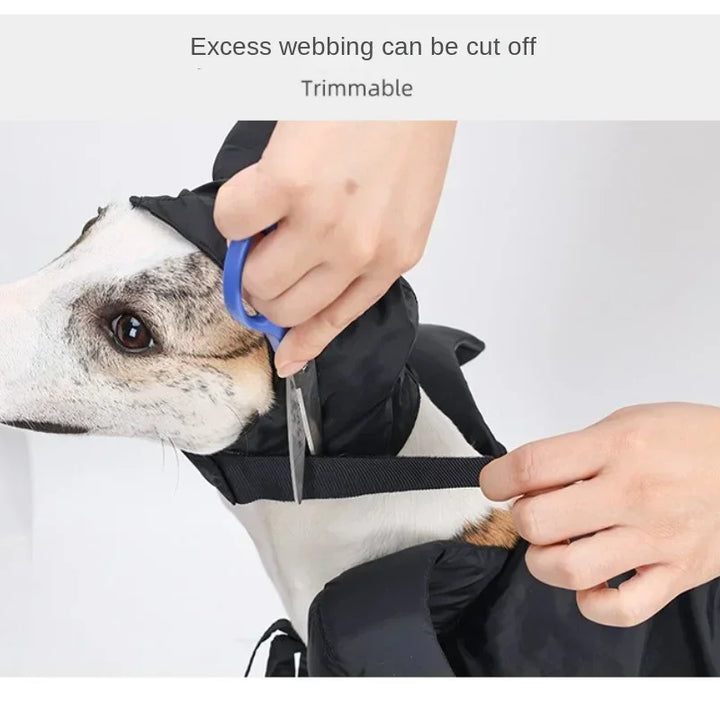 Halloween Witch-Shaped Costume cat Purple Vampire Cape Puppy Wizard Devil Horns Hat Pet Holiday Outfit for Small Middle-Sized Do