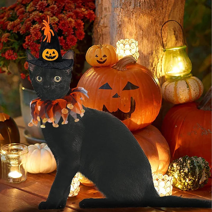 Halloween Pet Costume Set with Adjustable Elastic Hat Collar for Dogs and Cats - Pumpkin Style