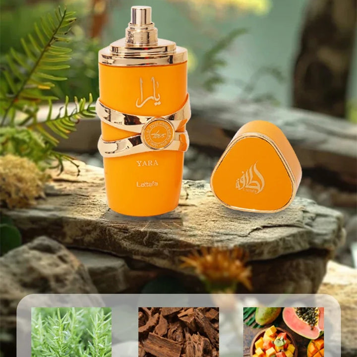 Original Yara Perfume Women Men Eau De Parfum Spray High Quality Arabian Perfume Lasting Fragrance Pheromone Light Fragrance