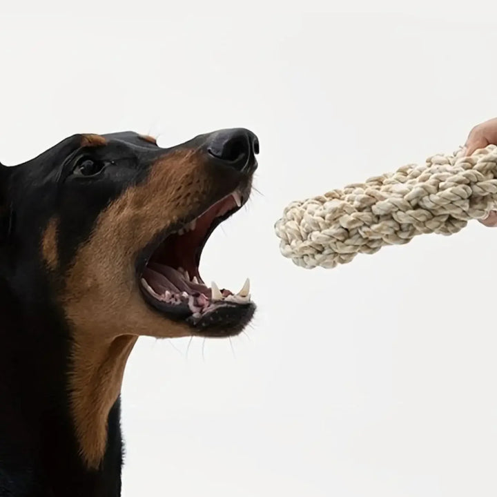 Pet Dog Rope Toy Durable Chew Bite Resistant Pet Toys for Medium Large Dogs Golden Retriever Pitbull Labrador Supplies
