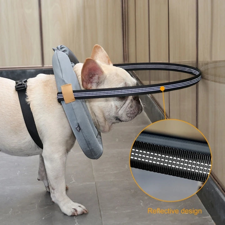 Pet Safety Harness for Dog and Cats Enhancing Protections for Sight Impaired Animal Rings Collar for Blind Dog Daily Walk