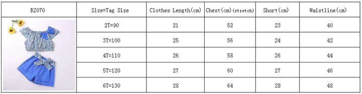 Clothes For Girls Summer Toddler Girls Clothes 2Pcs Outfits Kids Clothing For Girls Tracksuit Suit For Girls Children Clothing