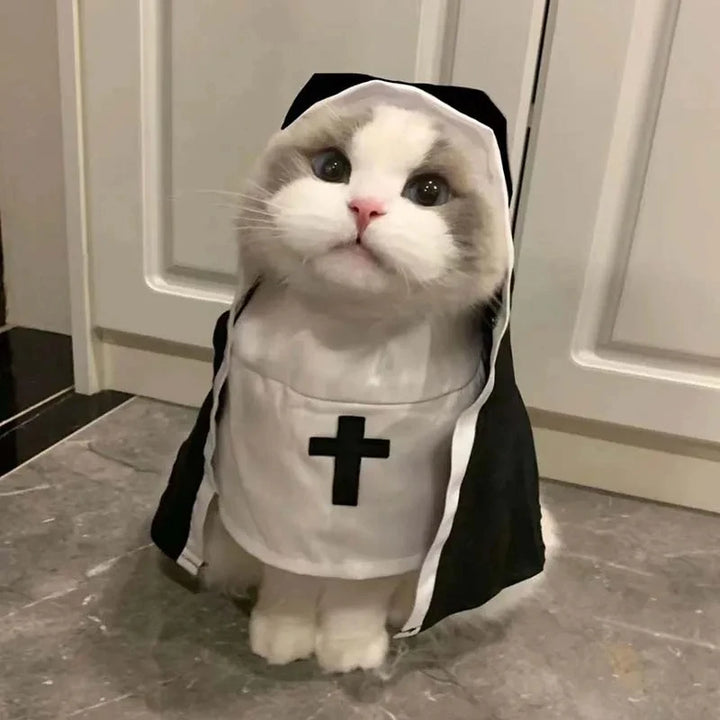 Halloween Cat Costumes Cats Dogs Cross-dressing Funny Cos Small And Medium-sized Pet Photo Props Cat Funny Costumes Accessory