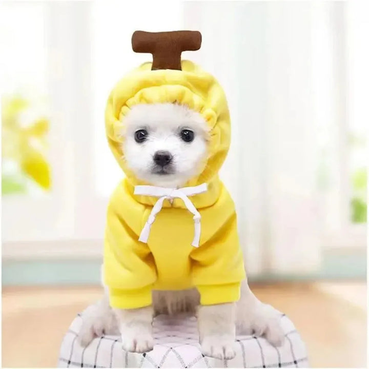 Cosplay Pet Clothes Dog Hoodies Clothing For Small Dog Coat Jacket Puppy Cat Costume Chihuahua Yorkie Clothes