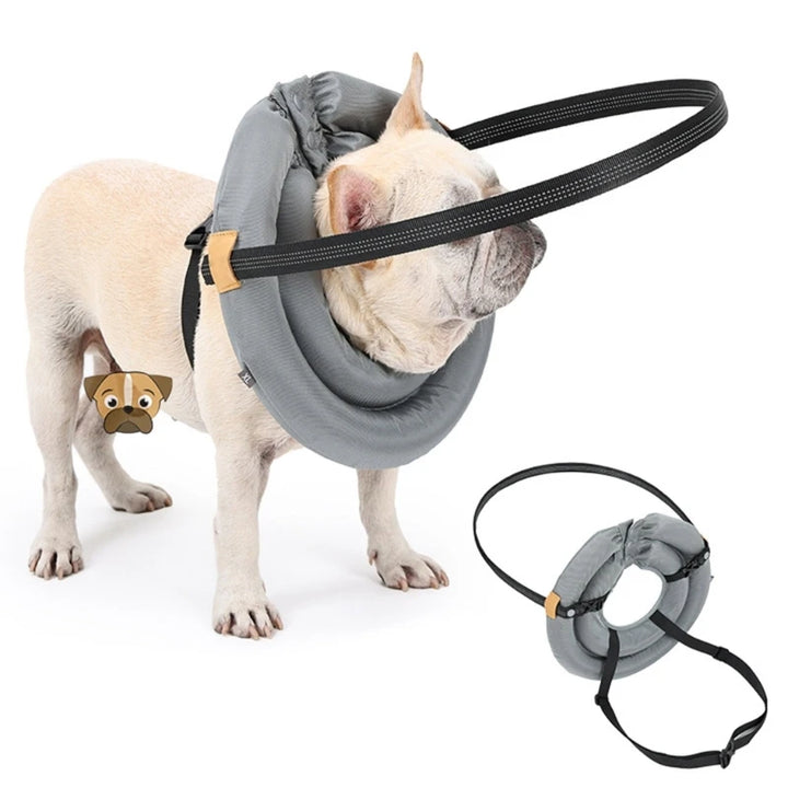 Pet Safety Harness for Dog and Cats Enhancing Protections for Sight Impaired Animal Rings Collar for Blind Dog Daily Walk