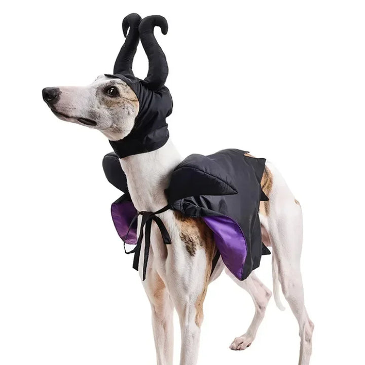 Halloween Witch-Shaped Costume cat Purple Vampire Cape Puppy Wizard Devil Horns Hat Pet Holiday Outfit for Small Middle-Sized Do