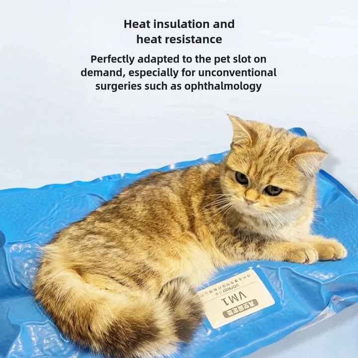 Animal Surgical Accessories Pet Vacuum Positioning Mat Small Veterinary Examination Pad Pet Care Room Cat And Dog Pet