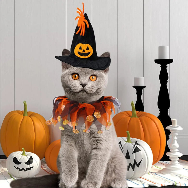 Halloween Pet Costume Set with Adjustable Elastic Hat Collar for Dogs and Cats - Pumpkin Style
