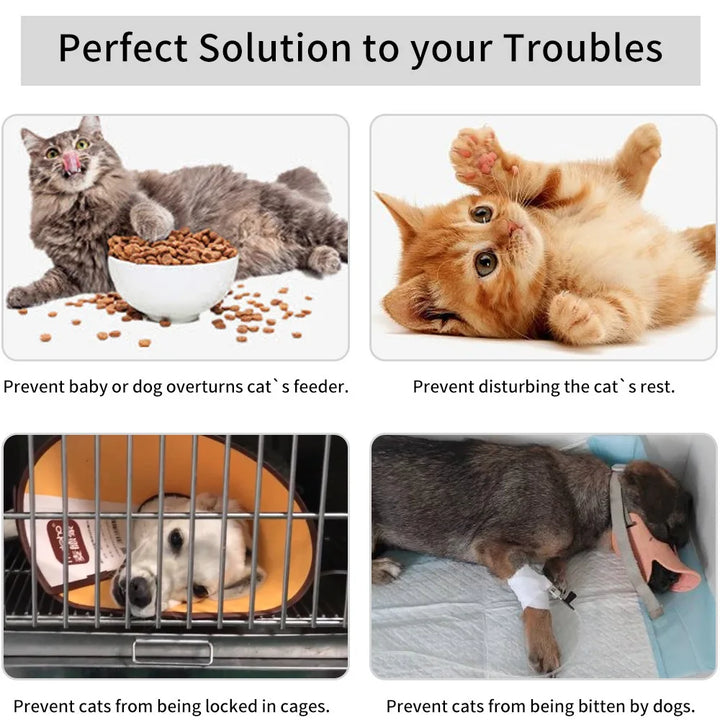 Cat Door Holder Latch Adjustable Dog Door Stopper Elastic Gate Lock Flex Latch Strap Keep Dog Out From Entering Pet Gate Supply