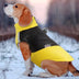 Pet Dog Clothes Autumn Winter Warm Thicken Windproof Interchange Jacket Outdoor Pet Clothes