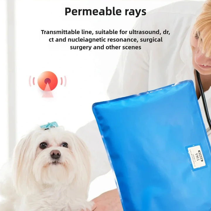 Animal Surgical Accessories Pet Vacuum Positioning Mat Small Veterinary Examination Pad Pet Care Room Cat And Dog Pet