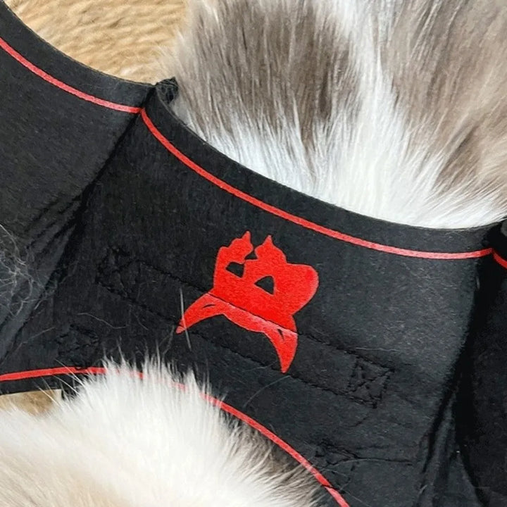 Halloween Cat Dress Up Costume Soft Adjustable Cats Bat Wing Cosplay Clothes Polyester Halloween Party Supplies Pet Supplies