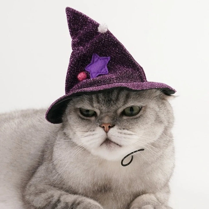 Funny Star Pet Witch Cloak Cloth Soft Halloween Pet Cloak Purple Witch Hat Dog Witch Costume Halloween Atmosphere