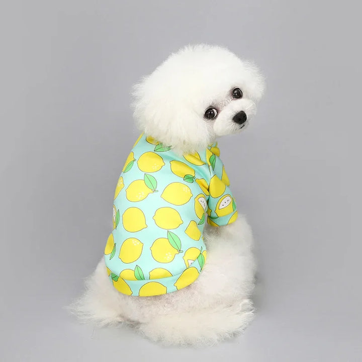 Chihuahua Dog Sweatshirt Puppy Cat Pullover Dogs Small Dog Hoodie Coat Winter Warm Pet Clothes for Bulldog