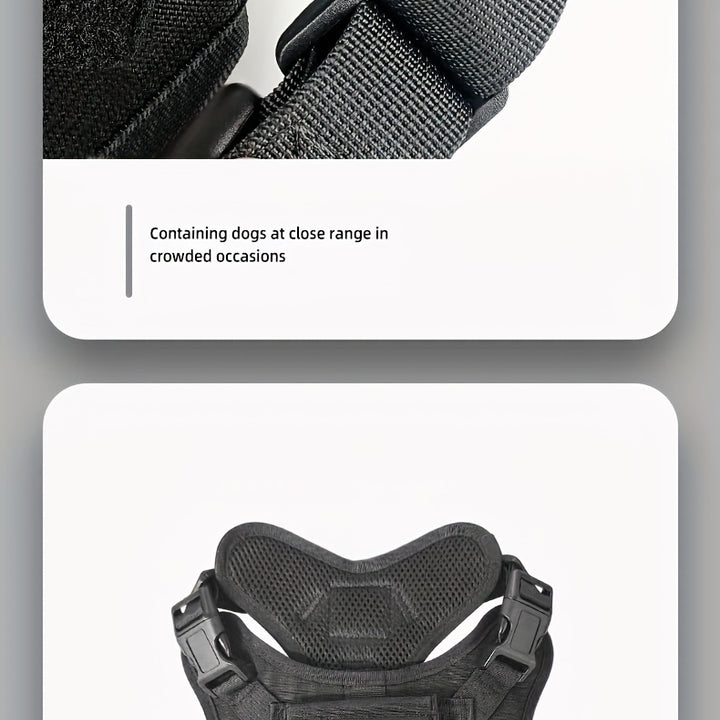 Heavy Duty Adjustable Dog Harness With Handle For Running And Training - Perfect For Medium And Large Dogs